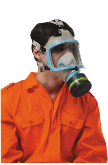 Full Face Mask - C809MG